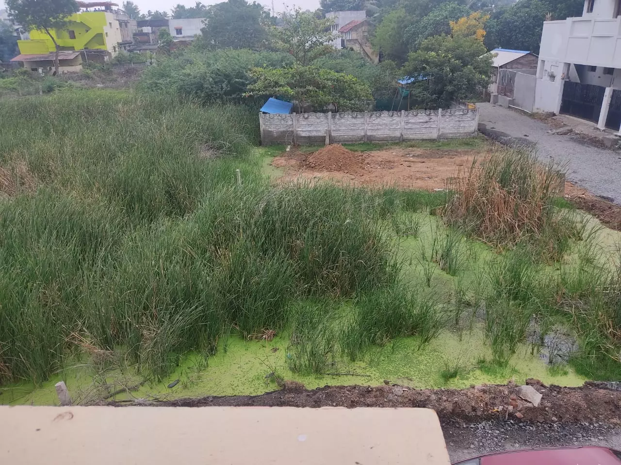 வடிகால் வசதி வேண்டும் வடிகால் வசதி வேண்டும்