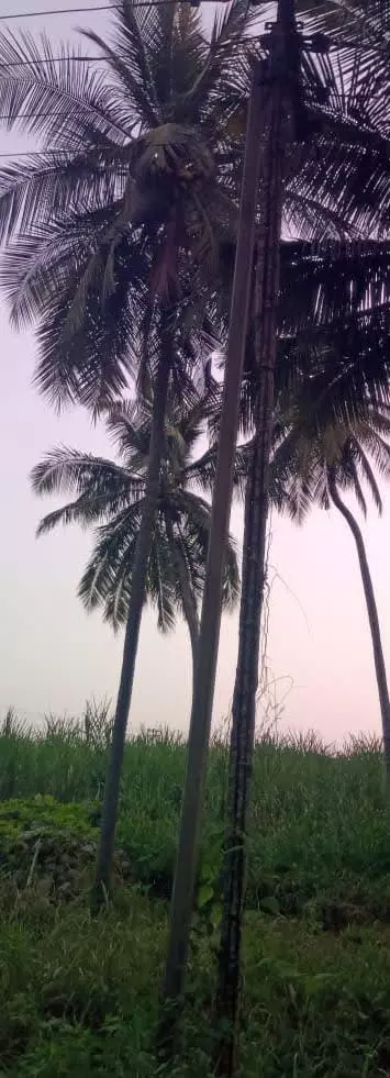 ஆபத்தான மின்கம்பம்