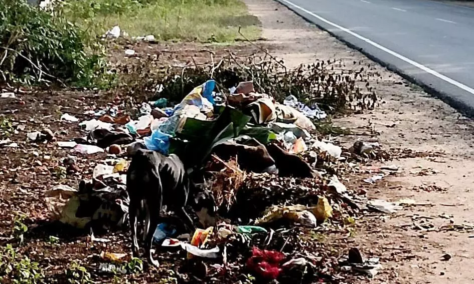 குப்பையால் சுகாதார சீர்ேகடு