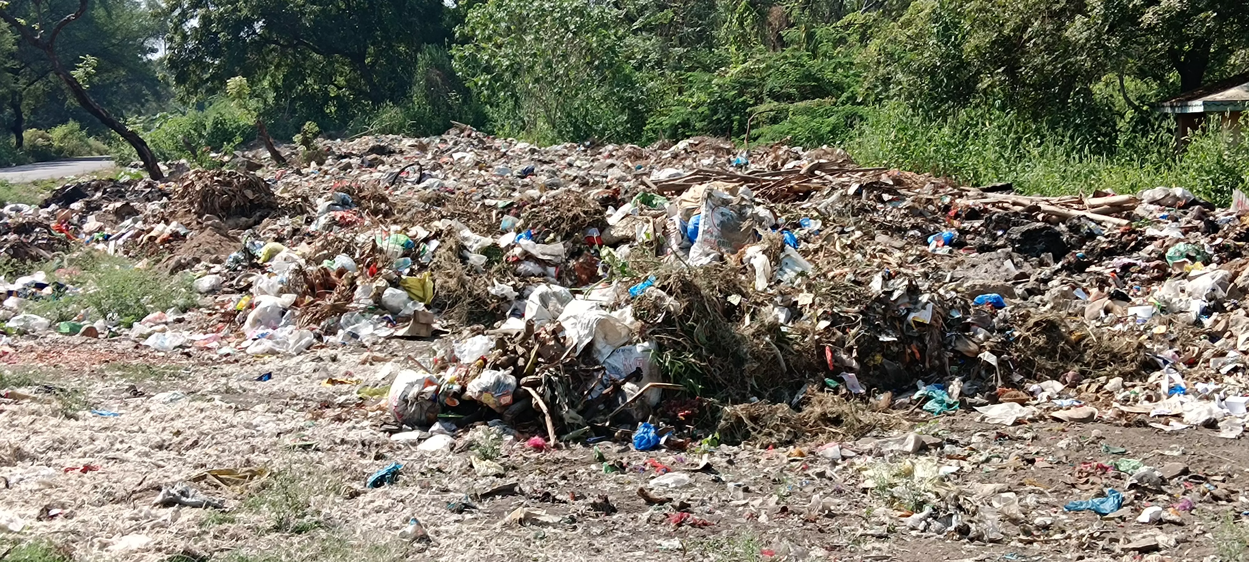 இறைச்சி கழிவுகளால் சுகாதார சீர்கேடு