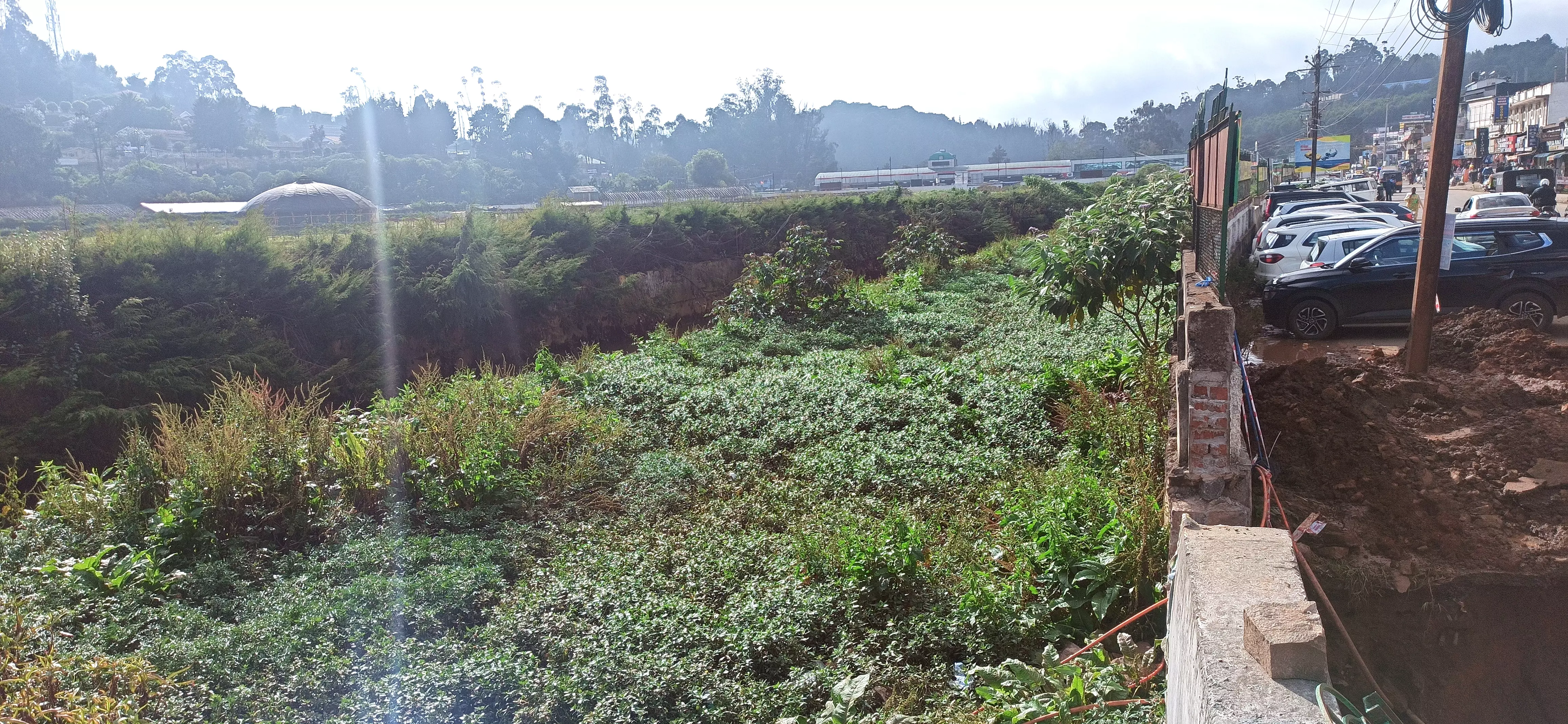 புதர் மண்டிய கால்வாய் புதர் மண்டிய கால்வாய்