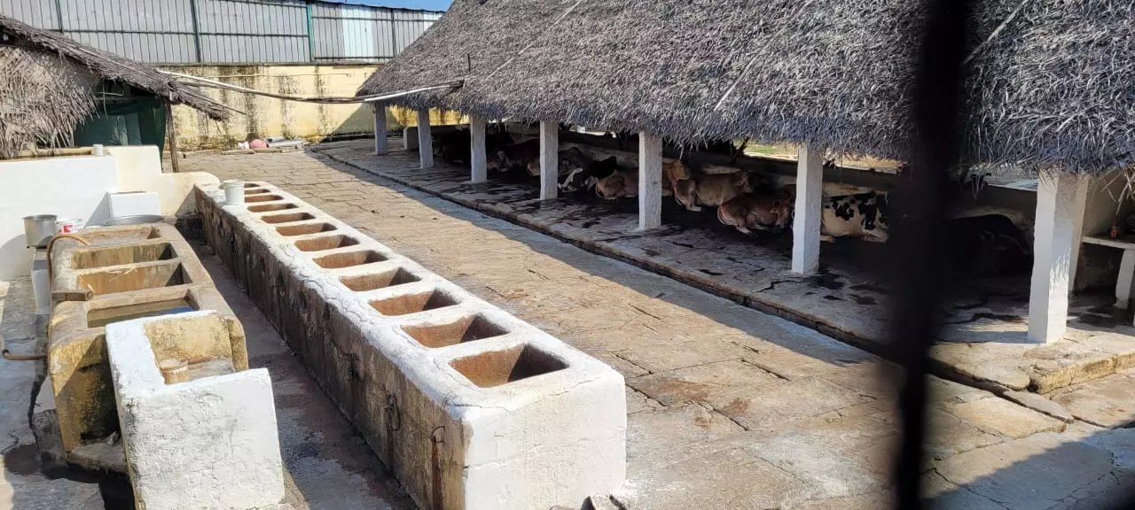 மாணவர்கள் அவதி மாணவர்கள் அவதி