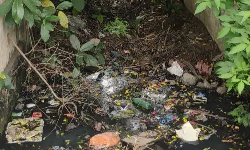 வாய்க்கால் தூர்வாரப்படுமா? வாய்க்கால் தூர்வாரப்படுமா?