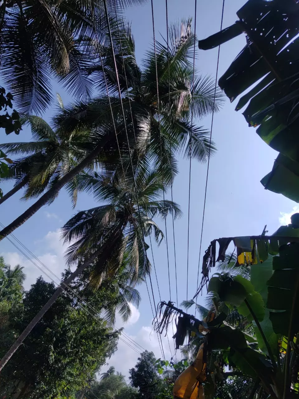 தாழ்வாக செல்லும் மின்கம்பிகள் தாழ்வாக செல்லும் மின்கம்பிகள்