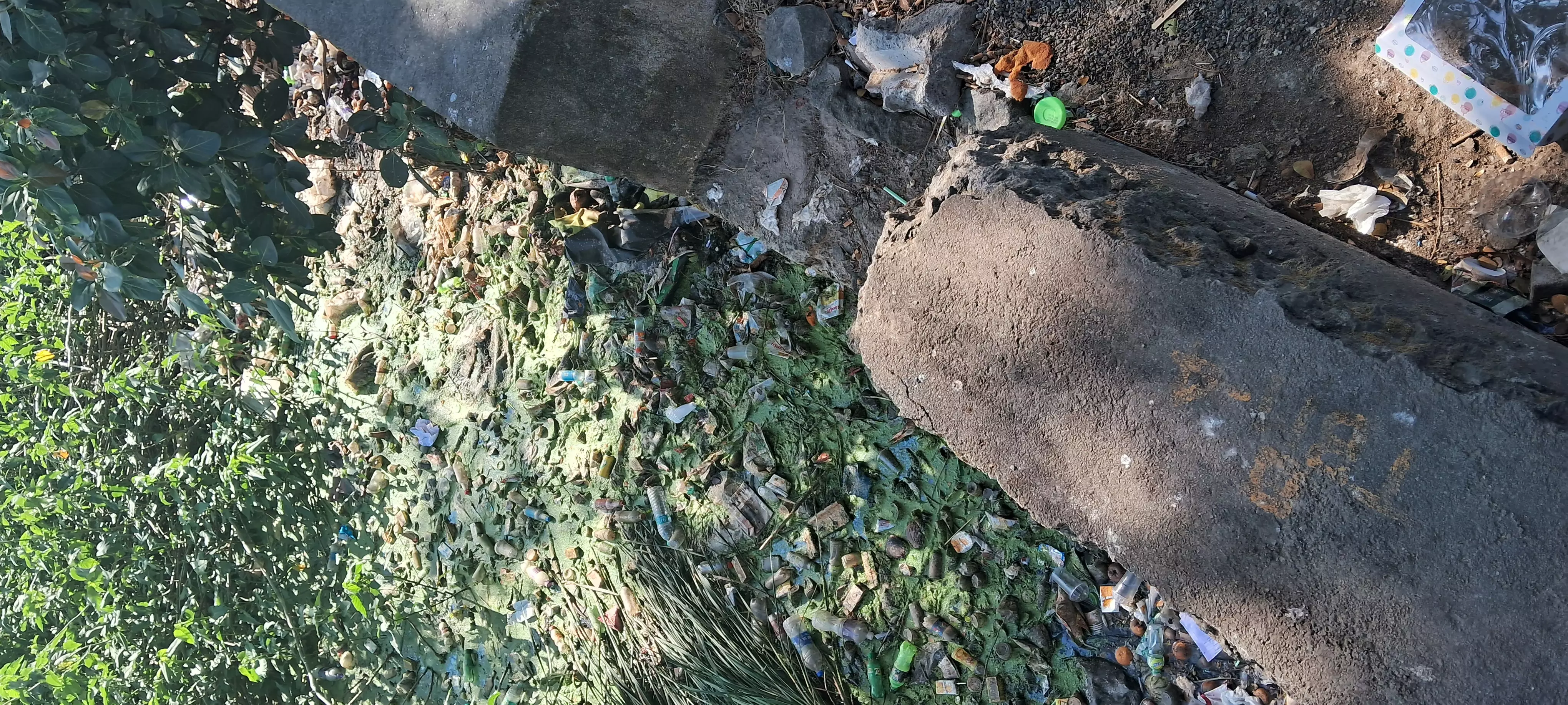 குளம் தூர்வாரப்படுமா? குளம் தூர்வாரப்படுமா?