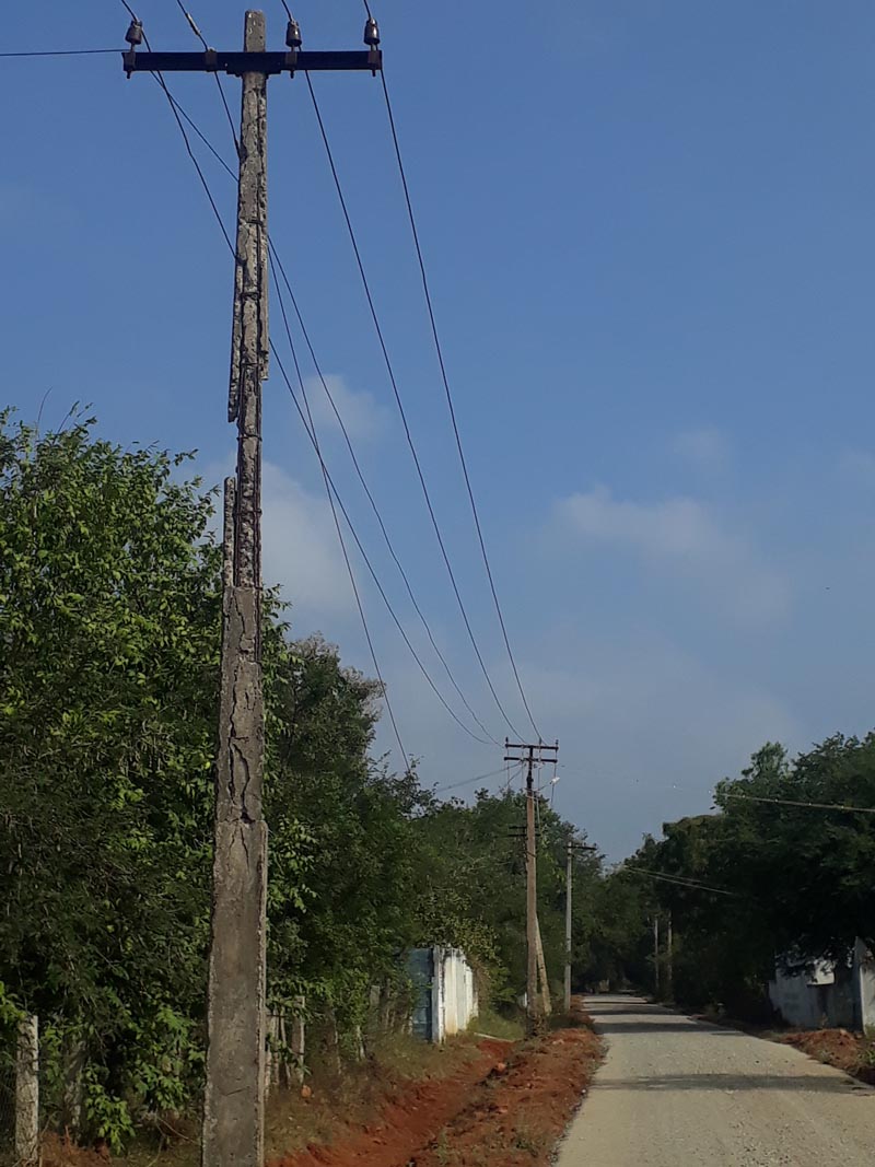 எலும்பு கூடான மின்கம்பம்