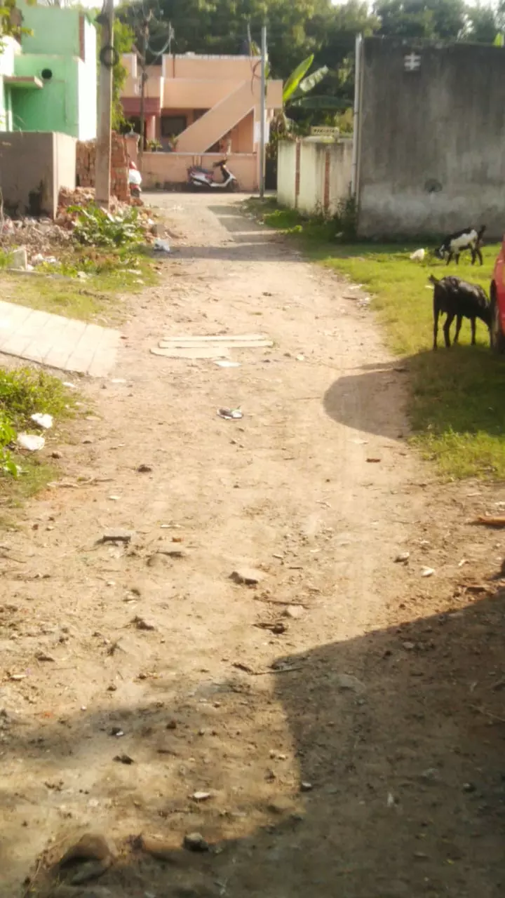 சாலை அமைக்கப்படுமா?