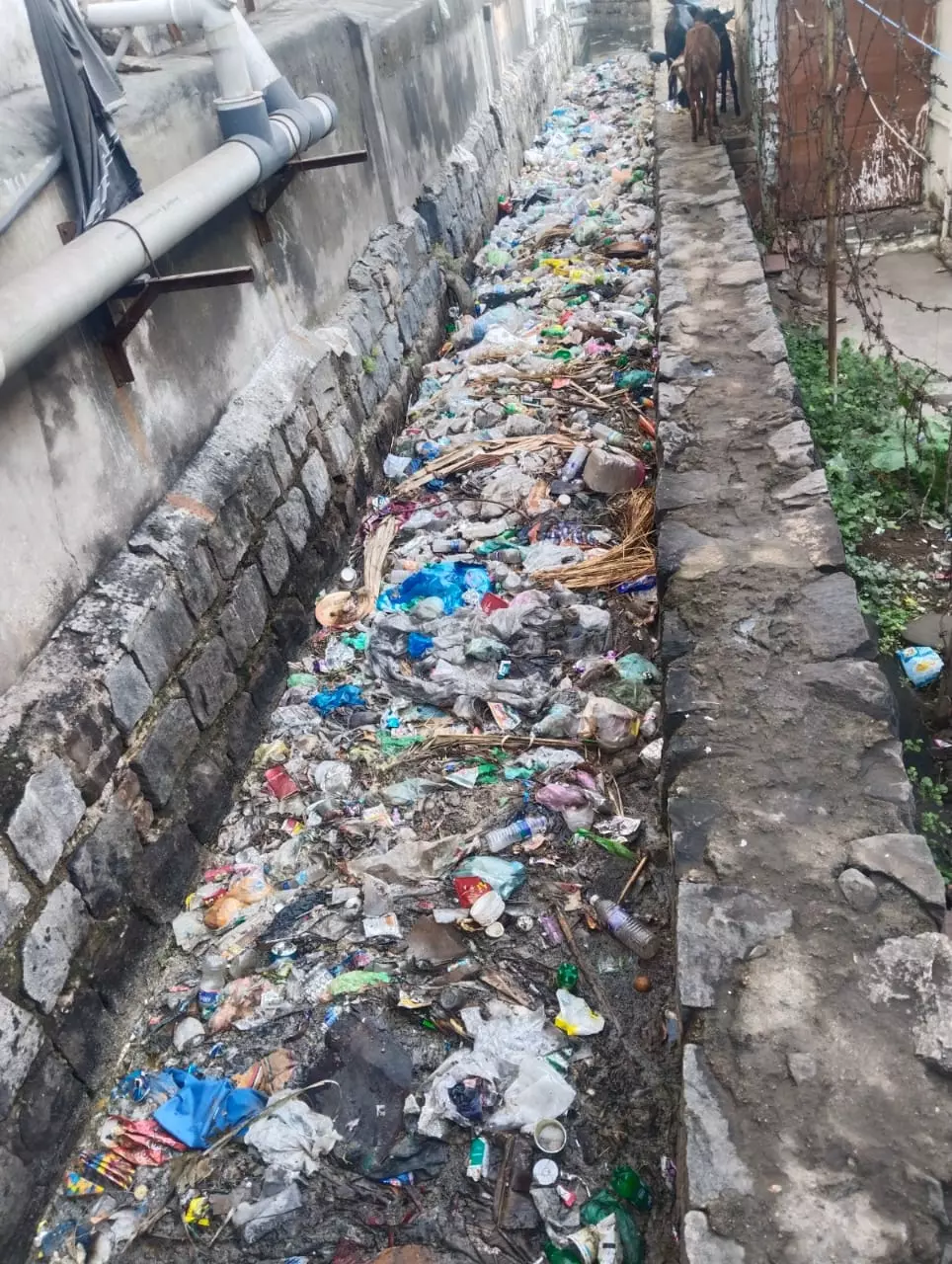 தேங்கி நிற்கும் கழிவுநீர் தேங்கி நிற்கும் கழிவுநீர்