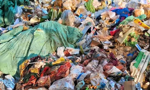 குப்பைகள் அகற்றப்படுமா? குப்பைகள் அகற்றப்படுமா?