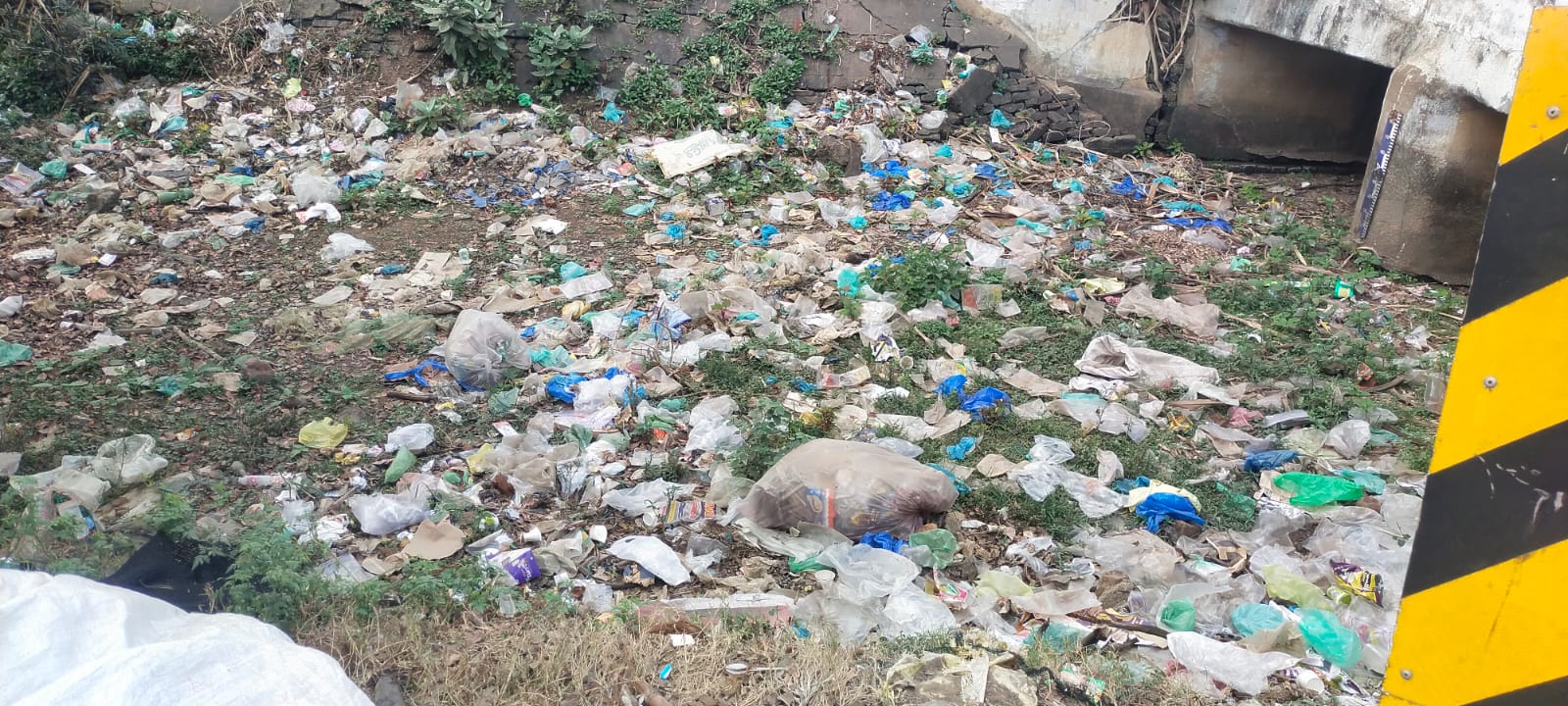 குப்பைகள் அகற்றப்படுமா? குப்பைகள் அகற்றப்படுமா?