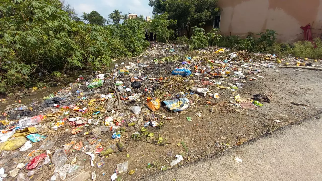 குப்பைகள் அகற்றப்படுமா?