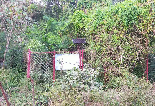 புதர்கள் சூழ்ந்த இடத்தில் மழைமானி புதர்கள் சூழ்ந்த இடத்தில் மழைமானி