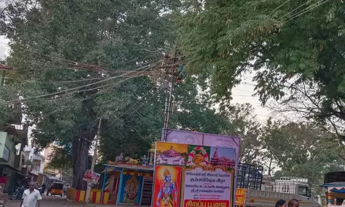 மின்கம்பியில் உரசும் மரக்கிளைகள்