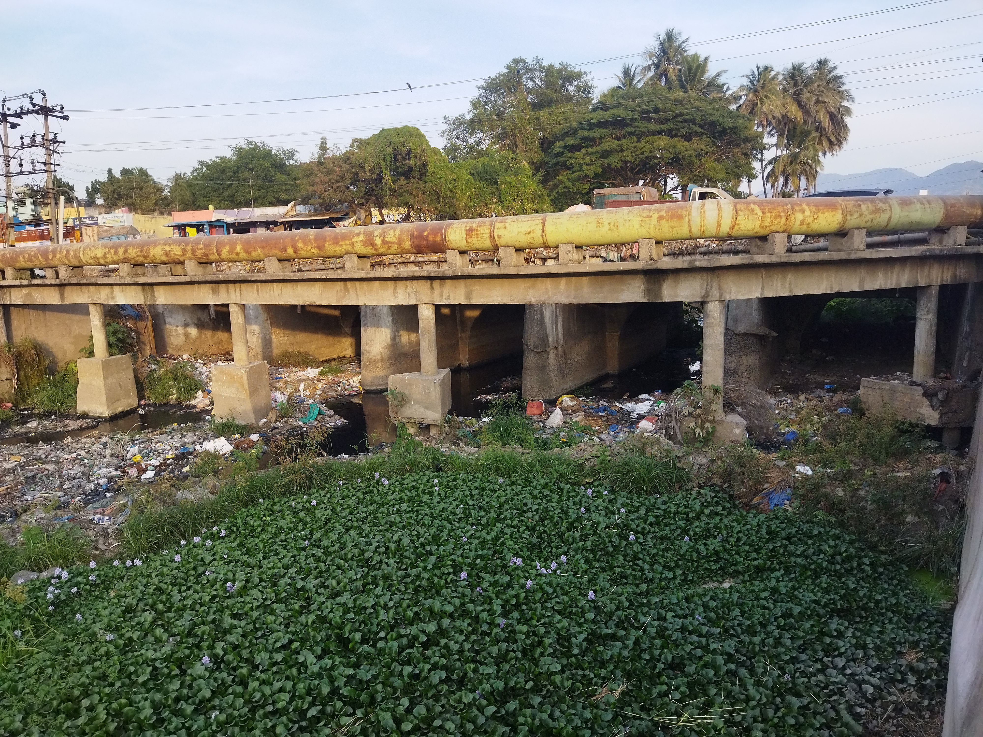 திருமணிமுத்தாரை தூர்வார வேண்டும்