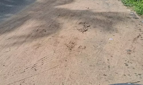 சாலை சுத்தம் செய்யப்படுமா? சாலை சுத்தம் செய்யப்படுமா?