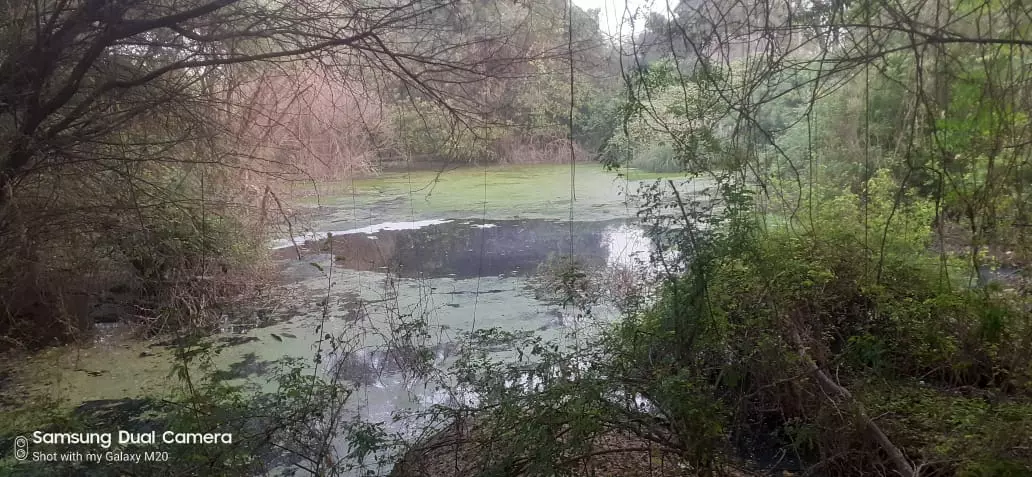 பொதுமக்கள் அவதி