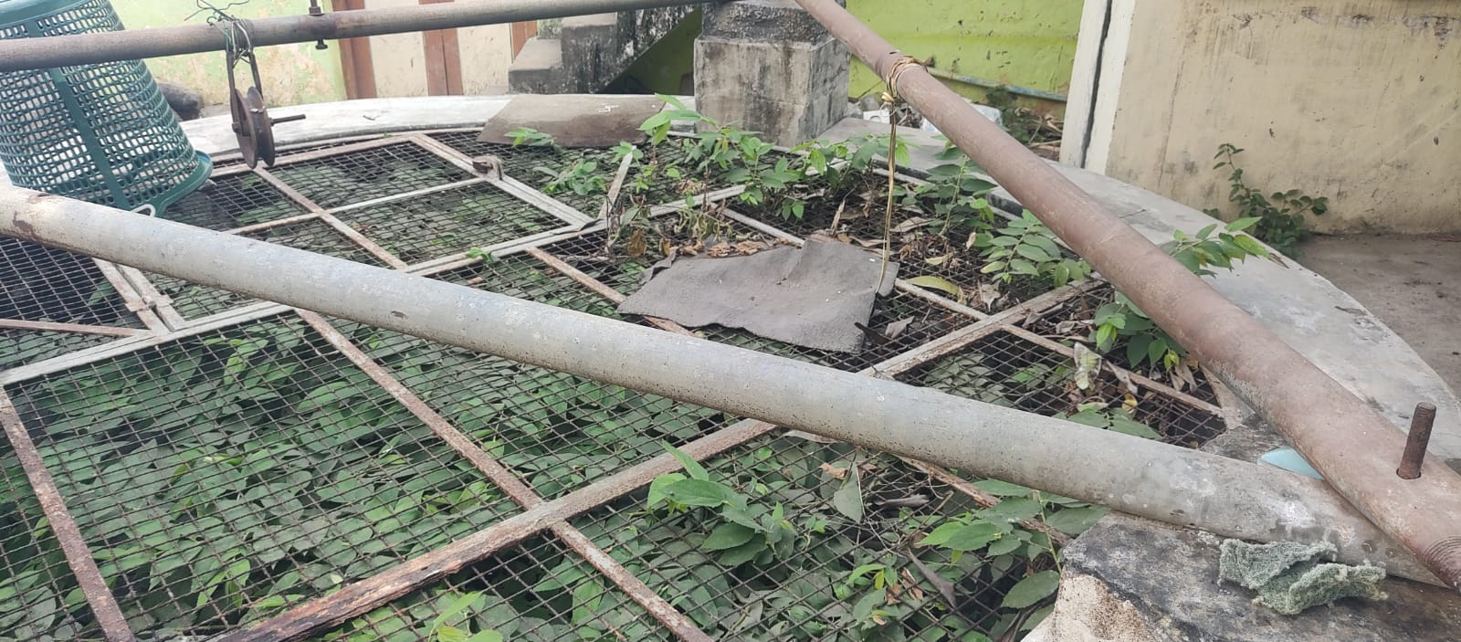 கிணறு பராமரிக்கப்படுமா?