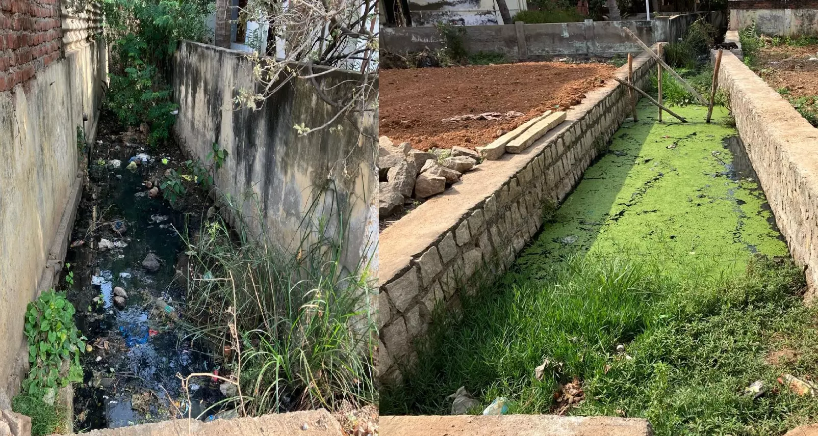 தூர்வாரப்படாத கழிவுநீர் வாய்க்கால் தூர்வாரப்படாத கழிவுநீர் வாய்க்கால்