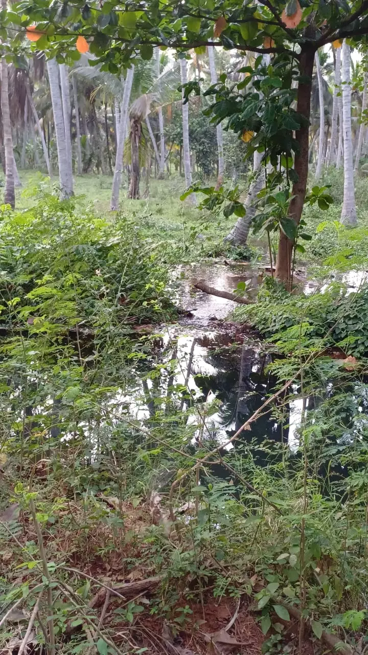 கால்வாயில் உடைப்பு