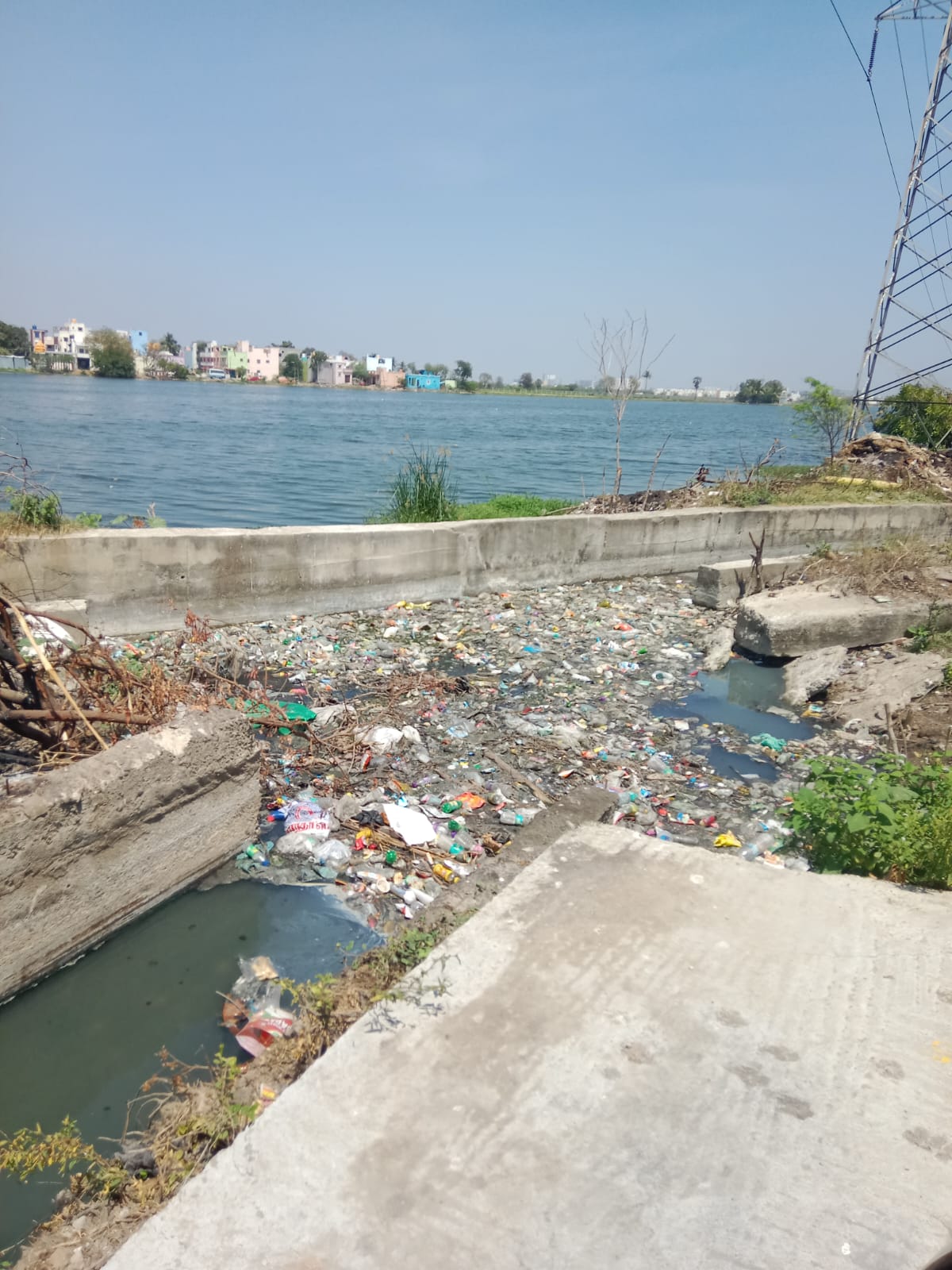 ஏரியில் கலக்கும் கழிவுநீர்