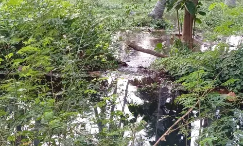 கால்வாயில் உடைப்பு கால்வாயில் உடைப்பு