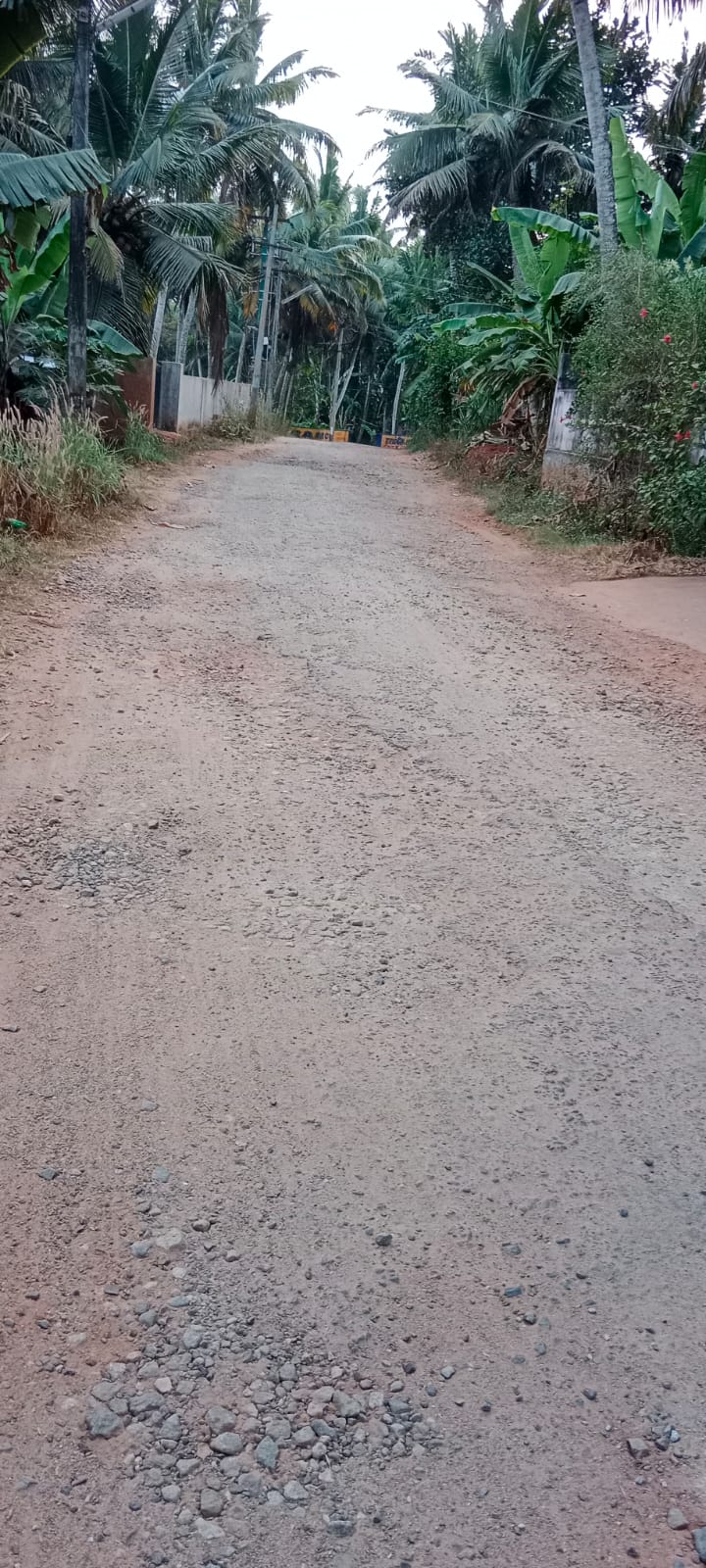 சேதமடைந்த சாலை சேதமடைந்த சாலை