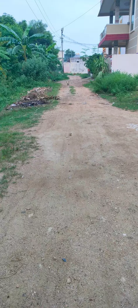 மோசமான சாலை மோசமான சாலை