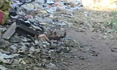 குப்பைகளால் சுகாதார சீர்கேடு குப்பைகளால் சுகாதார சீர்கேடு