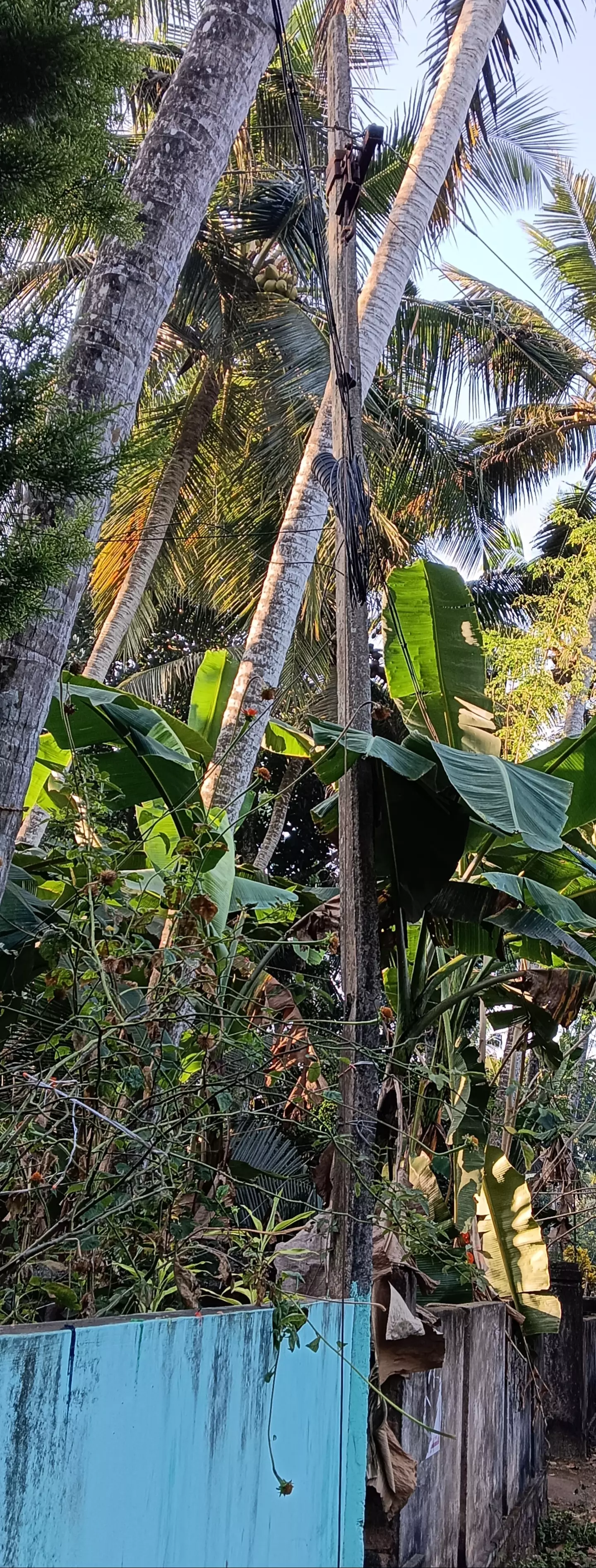 ஆபத்தான மின்கம்பம்