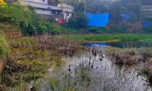 குளத்தை தூர்வார வேண்டும் குளத்தை தூர்வார வேண்டும்