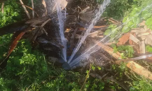 குடிநீர் குழாயில் உடைப்பு