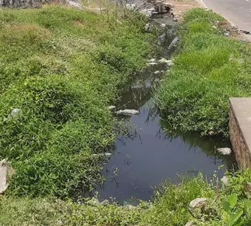 தேங்கி நிற்கும் கழிவுநீா் தேங்கி நிற்கும் கழிவுநீா்