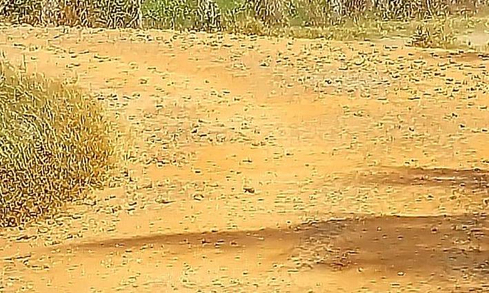 தாமதமாகும் சாலை பணி தாமதமாகும் சாலை பணி