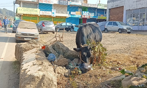 கால்நடைகள் பாதிப்பு