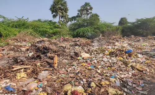 குப்பைகளால் சுகாதார சீர்கேடு குப்பைகளால் சுகாதார சீர்கேடு