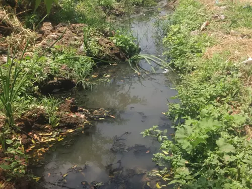 தேங்கி நிற்கும் கழிவுநீர்