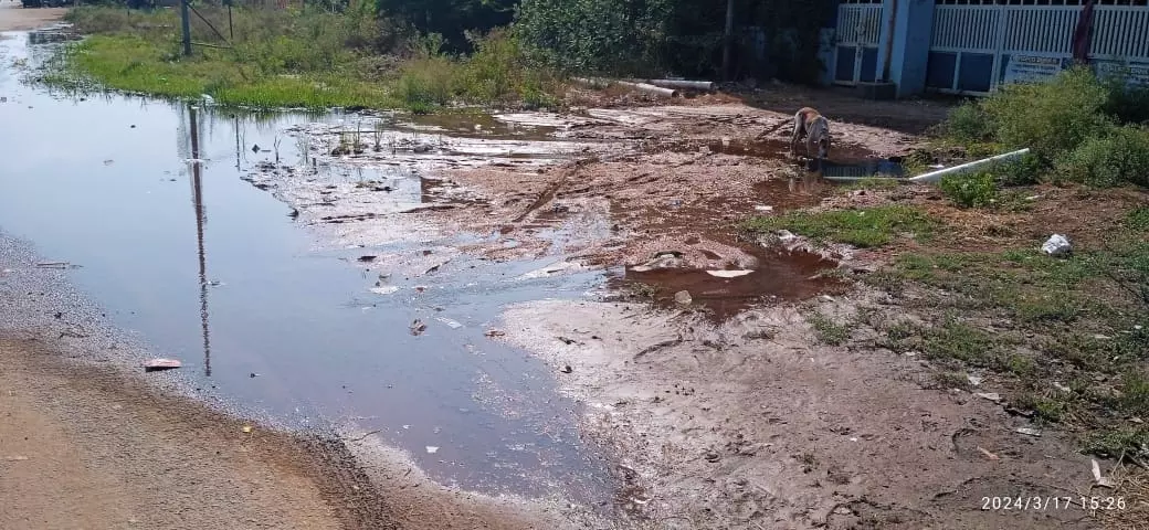 குடிநீர் குழாயில் உடைப்பு குடிநீர் குழாயில் உடைப்பு