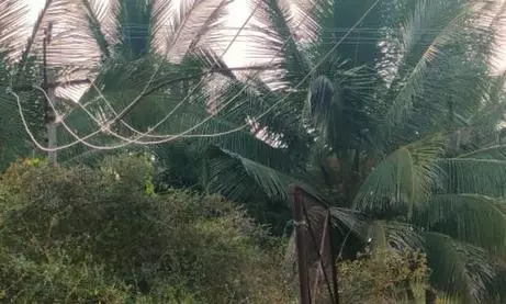 தாழ்வாக தொங்கும் மின்கம்பிகள்