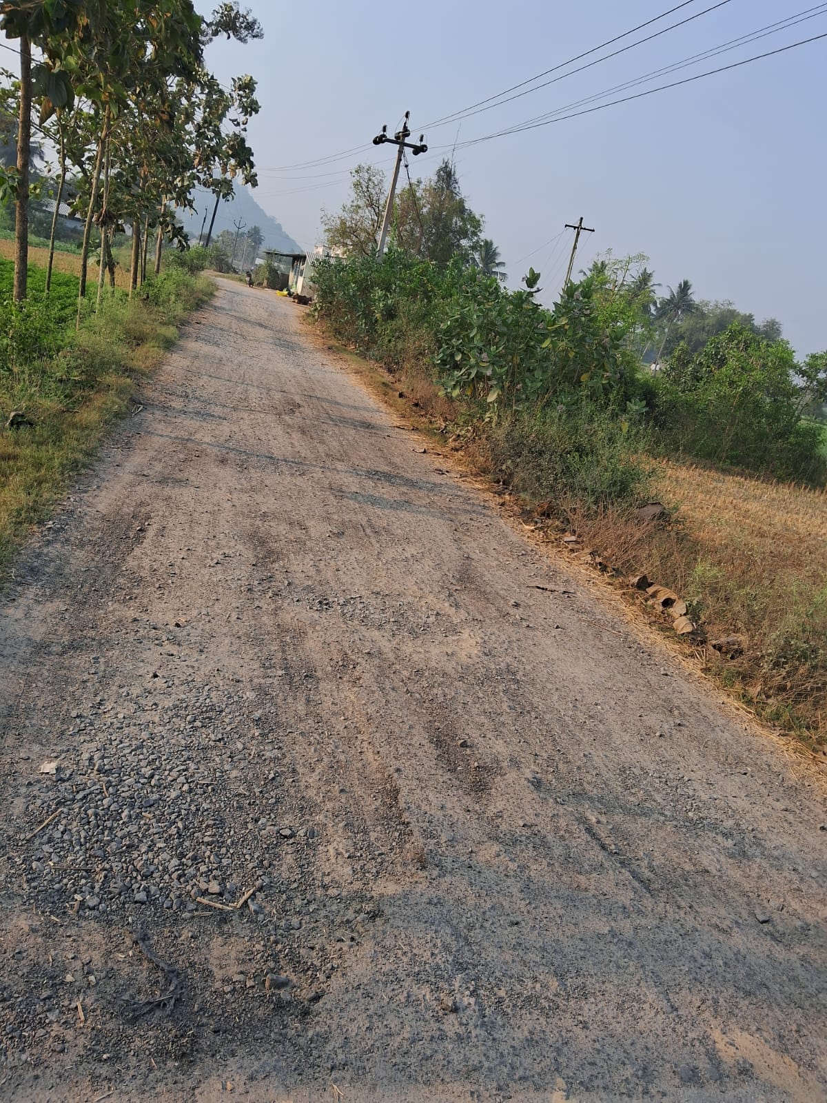 சாலை சீரமைக்கப்படுமா?