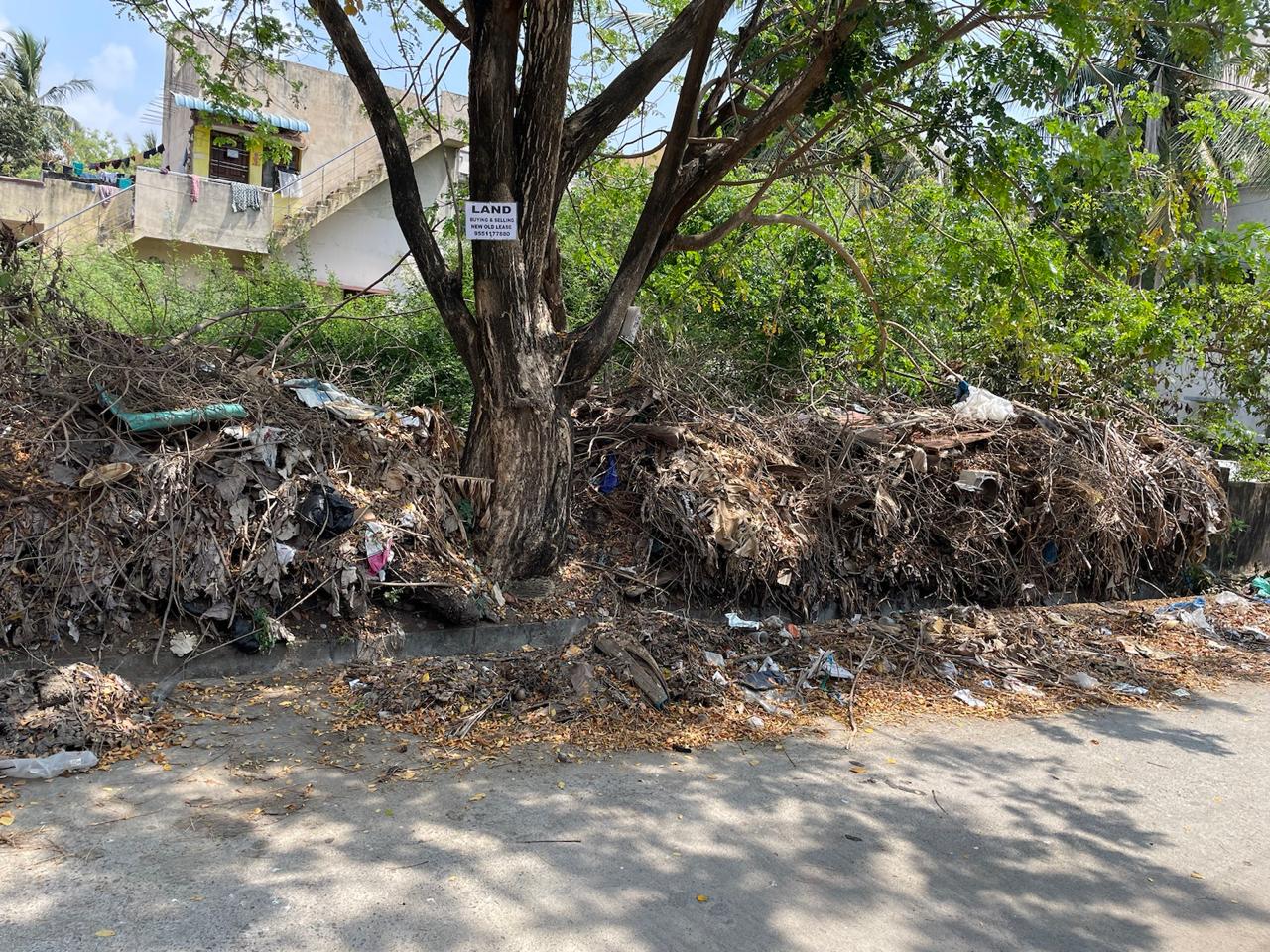 பராமரிக்கப்படாத மழைநீர் வடிகால்வாய்