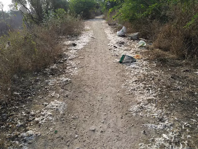 ஏரிக்கரையில் கோழிக்கழிவுகள் வீச்சு