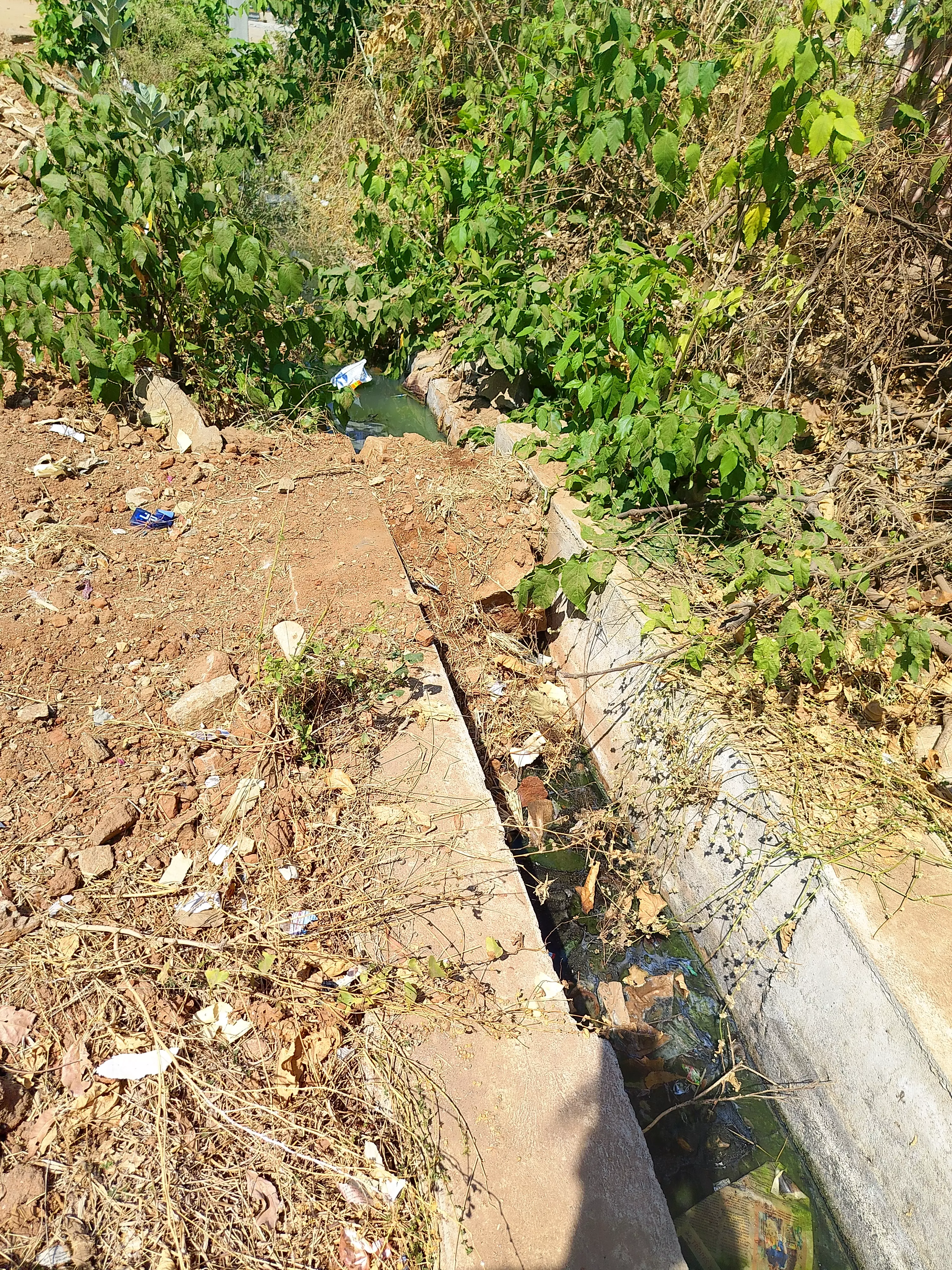 கால்வாய் தூர்வாரப்படுமா? கால்வாய் தூர்வாரப்படுமா?