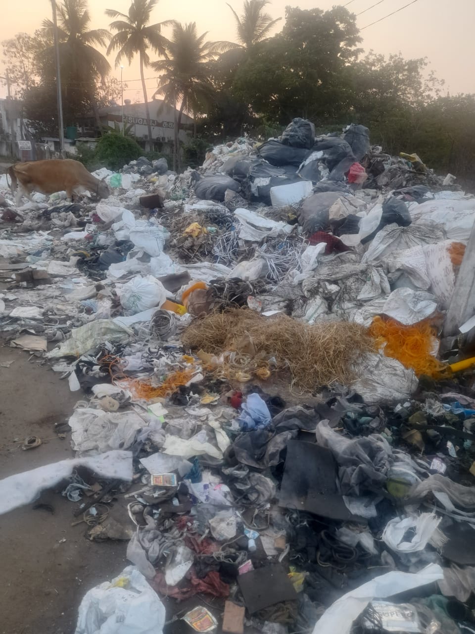 குவிந்து கிடக்கும் குப்பைகள்