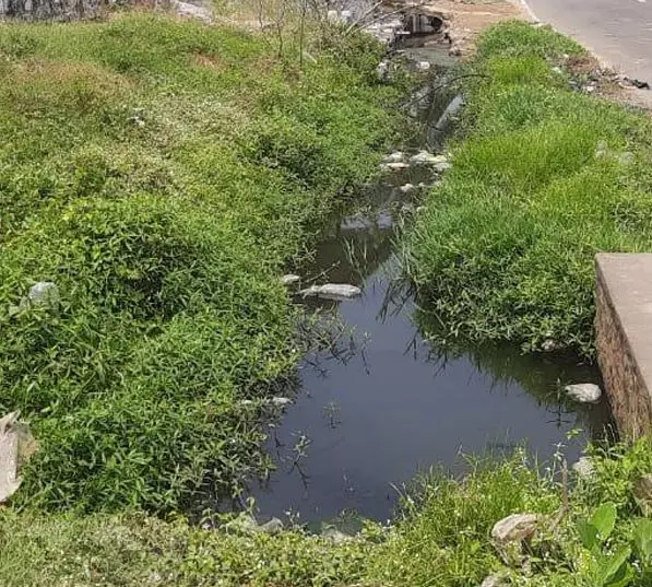 தேங்கி நிற்கும் கழிவுநீர் தேங்கி நிற்கும் கழிவுநீர்