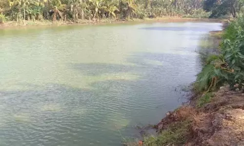 பக்கச்சுவர் அமைக்கப்படுமா?