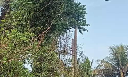 விபத்து அபாயம்