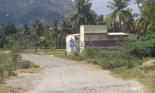 தரைமட்ட பாலம் கட்டப்படுமா? தரைமட்ட பாலம் கட்டப்படுமா?