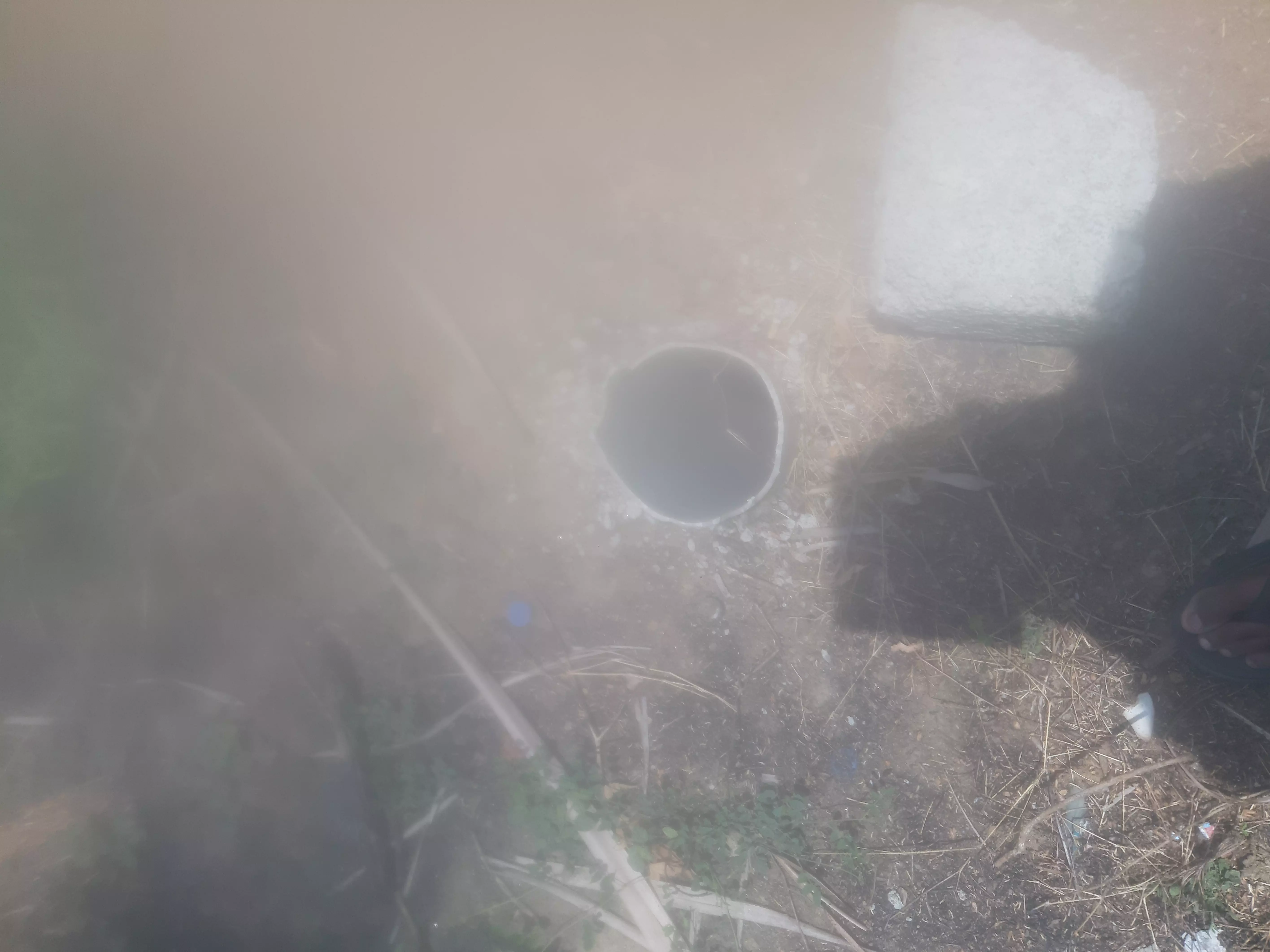 நடவடிக்கை தேவை