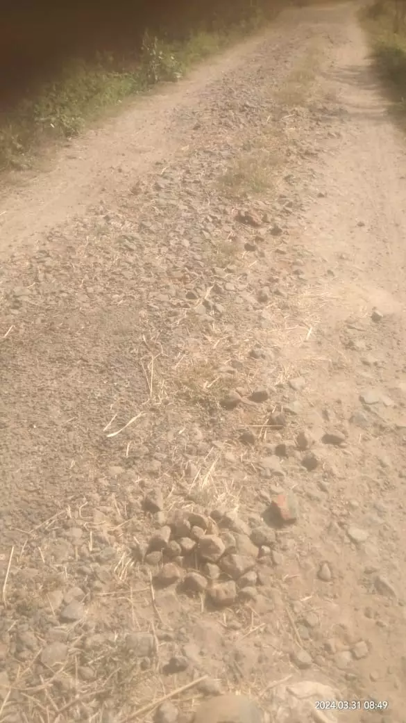 குண்டும்,குழியுமான சாலை குண்டும்,குழியுமான சாலை