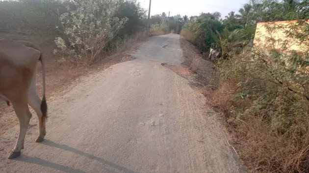 ஏரிக்கரை சாலை சேதம் ஏரிக்கரை சாலை சேதம்